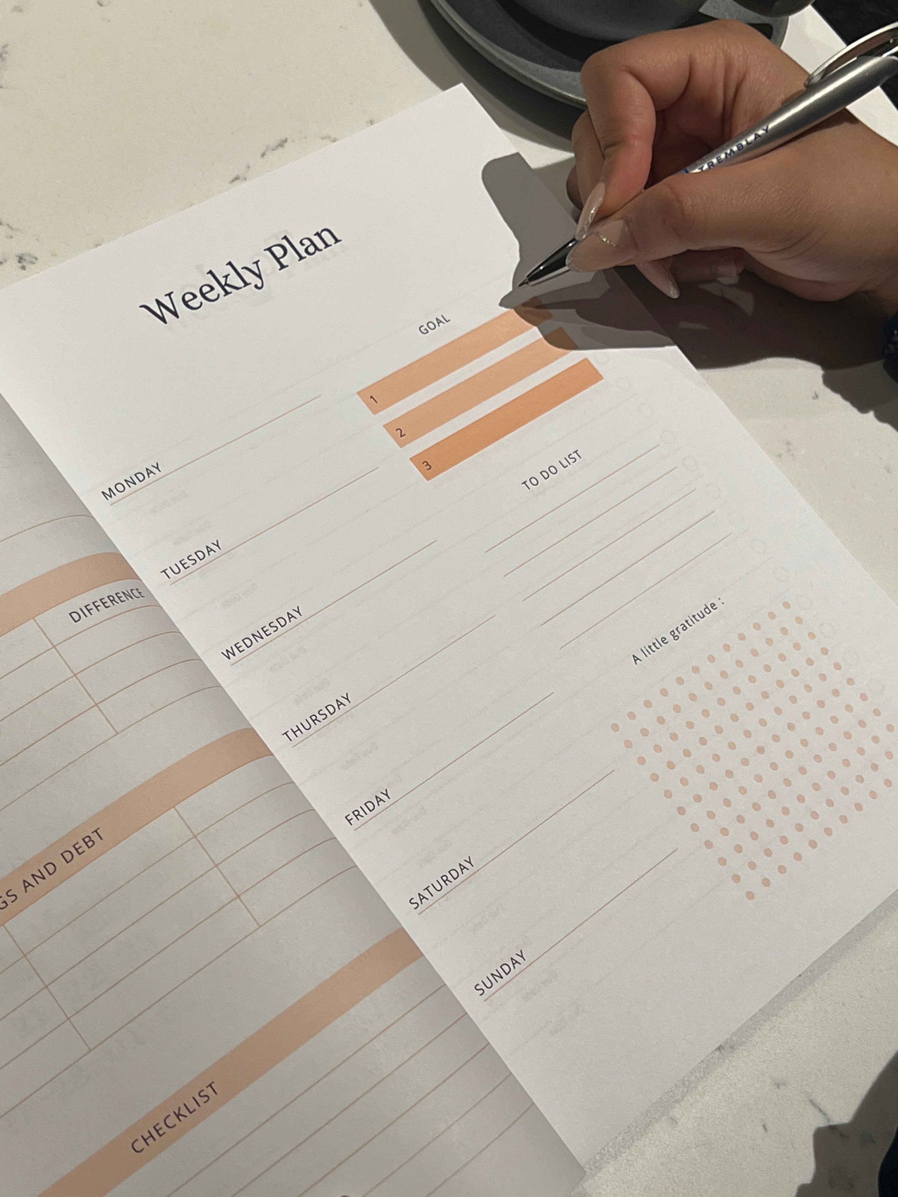 Your Success Planner